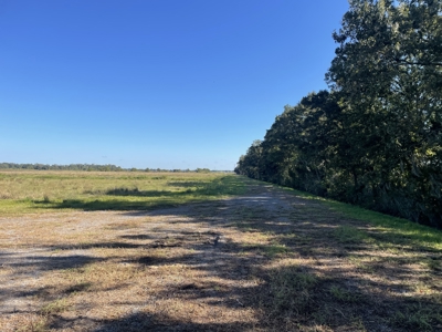 40 Acres on Vermillion River in Abbeville, LA - image 2