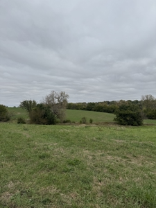 Acreage Leon Iowa-16 Acres on the Edge of Town - image 11