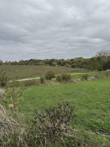 Acreage Leon Iowa-16 Acres on the Edge of Town - image 12