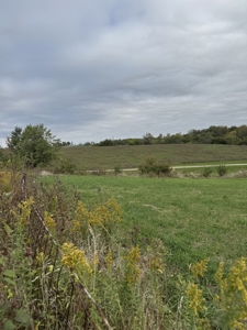 Acreage Leon Iowa-16 Acres on the Edge of Town - image 14