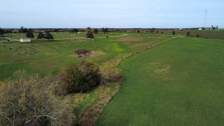Acreage Leon Iowa-16 Acres on the Edge of Town - image 7