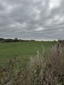 Acreage Leon Iowa-16 Acres on the Edge of Town - image 13