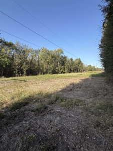 East Texas Land for Sale Fruitvale TX Van Zandt County Hunt Ranch - image 16