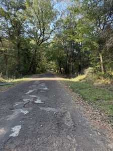 East Texas Land for Sale Fruitvale TX Van Zandt County Hunt Ranch - image 12