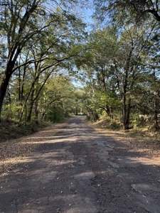 East Texas Land for Sale Fruitvale TX Van Zandt County Hunt Ranch - image 13