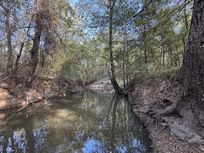 East Texas Land for Sale Fruitvale TX Van Zandt County Hunt Ranch - image 8