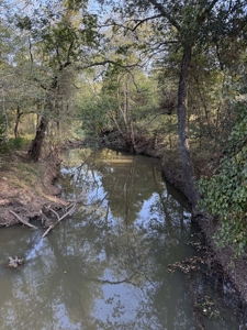 East Texas Land for Sale Fruitvale TX Van Zandt County Hunt Ranch - image 9