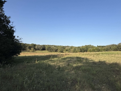 East Texas Land for Sale Fruitvale TX Van Zandt County Hunt Ranch - image 22