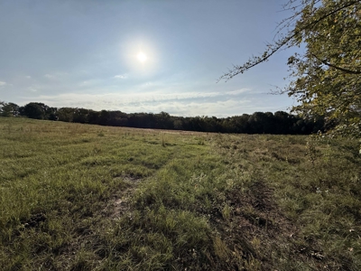 East Texas Land for Sale Fruitvale TX Van Zandt County Hunt Ranch - image 7
