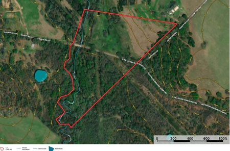 East Texas Land for Sale Fruitvale TX Van Zandt County Hunt Ranch - image 2