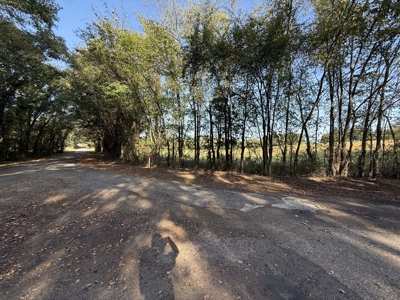East Texas Land for Sale Fruitvale TX Van Zandt County Hunt Ranch - image 15