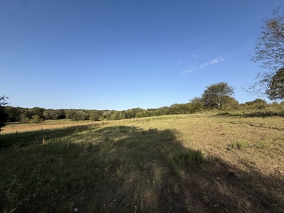 East Texas Land for Sale Fruitvale TX Van Zandt County Hunt Ranch - image 1