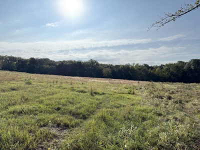 East Texas Land for Sale Fruitvale TX Van Zandt County Hunt Ranch - image 6