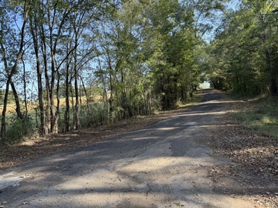 East Texas Land for Sale Fruitvale TX Van Zandt County Hunt Ranch - image 14