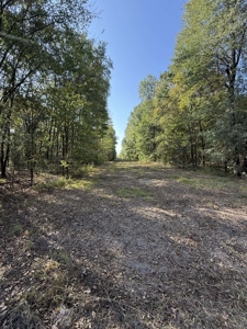 East Texas Land for Sale Fruitvale TX Van Zandt County Hunt Ranch - image 21