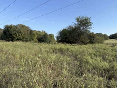 East Texas Land for Sale Fruitvale TX Van Zandt County Hunt Ranch - image 4