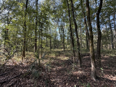 East Texas Land for Sale Fruitvale TX Van Zandt County Hunt Ranch - image 19