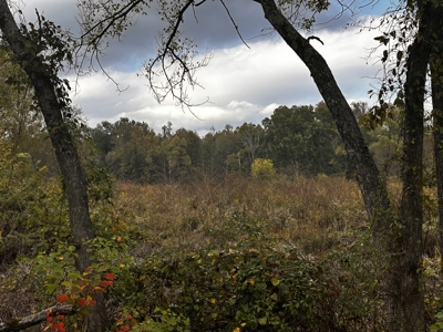 19.21 Acres of East Texas country side! - image 3