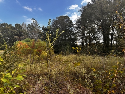 19.21 Acres of East Texas country side! - image 6