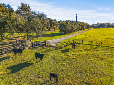 20 Acres--Prime Horse Property Near High Springs Florida - image 10