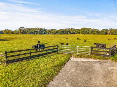 20 Acres--Prime Horse Property Near High Springs Florida - image 1