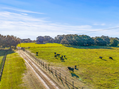 20 Acres--Prime Horse Property Near High Springs Florida - image 7