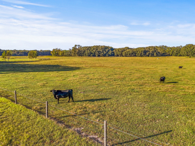 20 Acres--Prime Horse Property Near High Springs Florida - image 11
