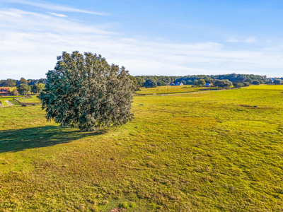 20 Acres--Prime Horse Property Near High Springs Florida - image 13