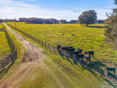 20 Acres--Prime Horse Property Near High Springs Florida - image 9