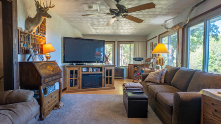 Cottage with View of Bull Shoals Lake | Missouri Ozarks - image 11