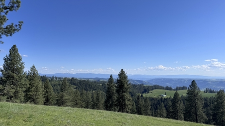 Acreage for Sale in Woodland Region of Kamiah, ID - image 6