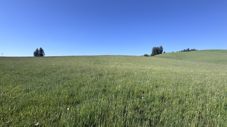 Acreage for Sale in Woodland Region of Kamiah, ID - image 50