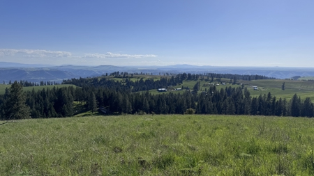 Acreage for Sale in Woodland Region of Kamiah, ID - image 29