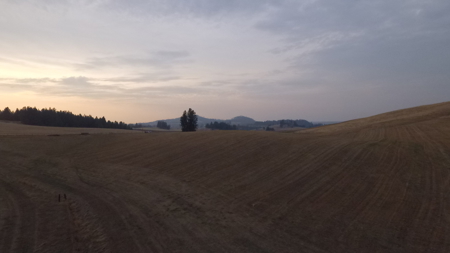 Acreage for Sale in Woodland Region of Kamiah, ID - image 13