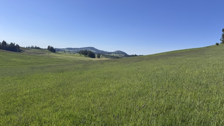 Acreage for Sale in Woodland Region of Kamiah, ID - image 32