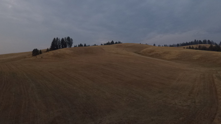 Acreage for Sale in Woodland Region of Kamiah, ID - image 12