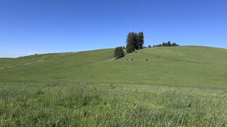 Acreage for Sale in Woodland Region of Kamiah, ID - image 1