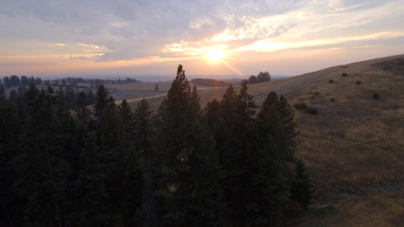 Acreage for Sale in Woodland Region of Kamiah, ID - image 24