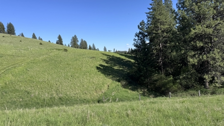 Acreage for Sale in Woodland Region of Kamiah, ID - image 16