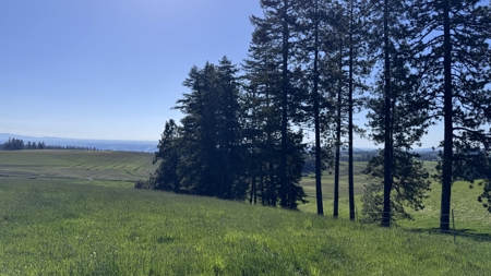 Acreage for Sale in Woodland Region of Kamiah, ID - image 13