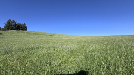 Acreage for Sale in Woodland Region of Kamiah, ID - image 37