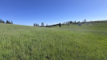 Acreage for Sale in Woodland Region of Kamiah, ID - image 34