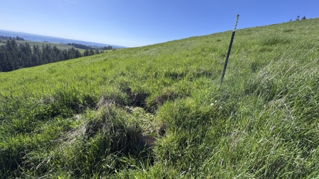 Acreage for Sale in Woodland Region of Kamiah, ID - image 24