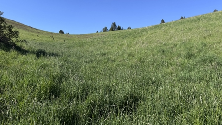 Acreage for Sale in Woodland Region of Kamiah, ID - image 18