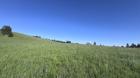 Acreage for Sale in Woodland Region of Kamiah, ID - image 46