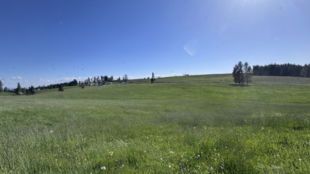 Acreage for Sale in Woodland Region of Kamiah, ID - image 41