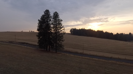 Acreage for Sale in Woodland Region of Kamiah, ID - image 17