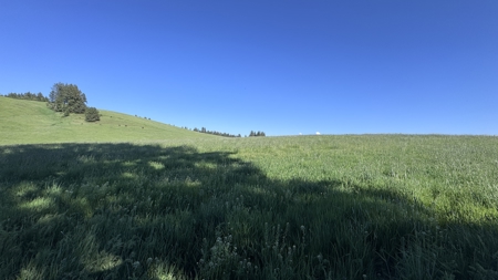 Acreage for Sale in Woodland Region of Kamiah, ID - image 45