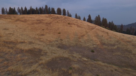 Acreage for Sale in Woodland Region of Kamiah, ID - image 23