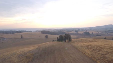 Acreage for Sale in Woodland Region of Kamiah, ID - image 4